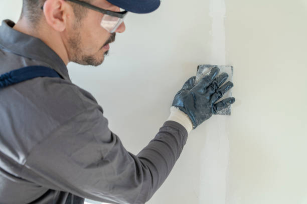 Best Commercial Painting  in Dexter, OR